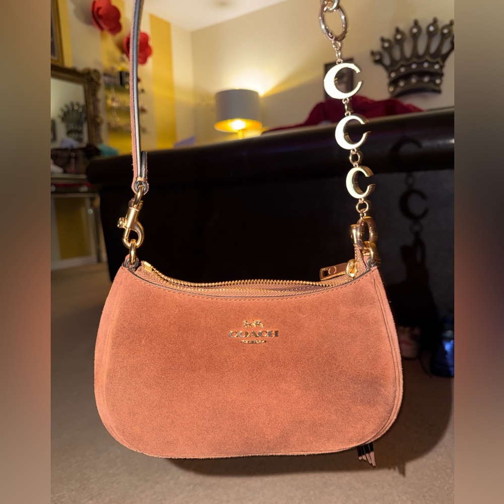 NEW Coach Teri Mini Shoulder Bag authentic purse includes charm NWT